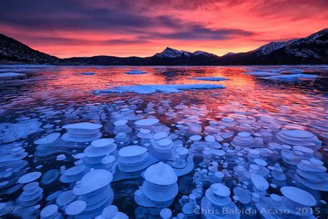Methane Iced Bubbles Abraham Lake Nordegg Alberta Canada I