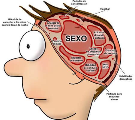 Notas de Psicología La adicción al sexo es considerada un trastorno de personalidad