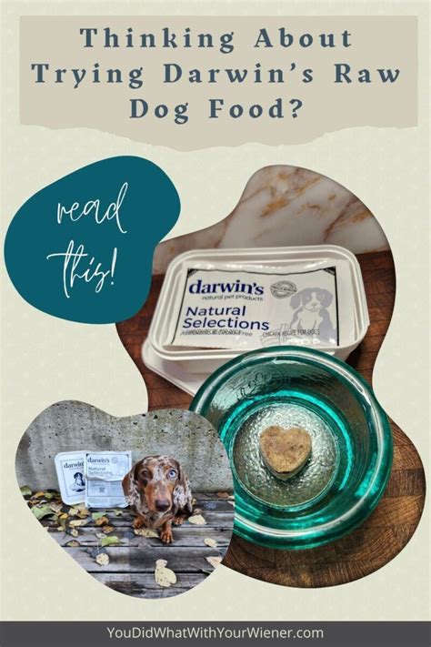 Darwins Natural Raw Dog Food Review