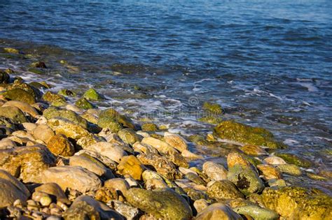 Seashore In A Stone Beach Stock Photo Image Of Closeup 131569654