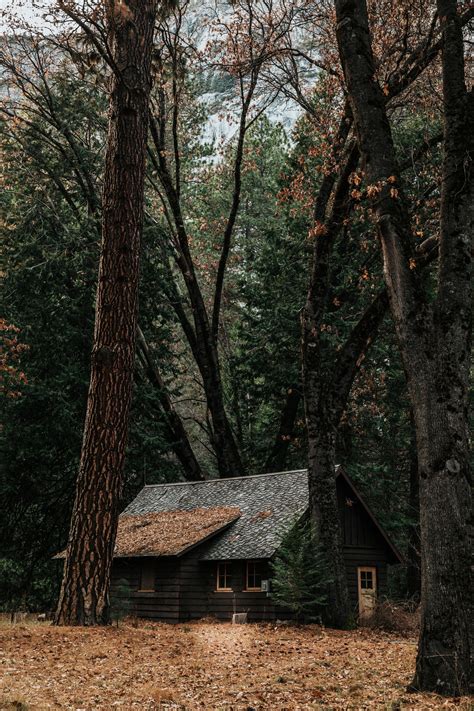 Forest Cabin Wallpapers Wallpaper Cave