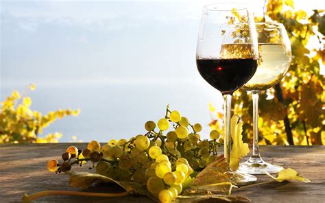 Wine Wallpapers Top Free Wine Backgrounds Wallpaperaccess
