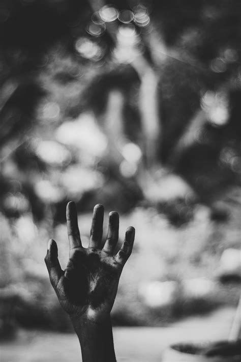 Hd Wallpaper Grayscale Photo Of Left Human Palm Black And White Blurred Background
