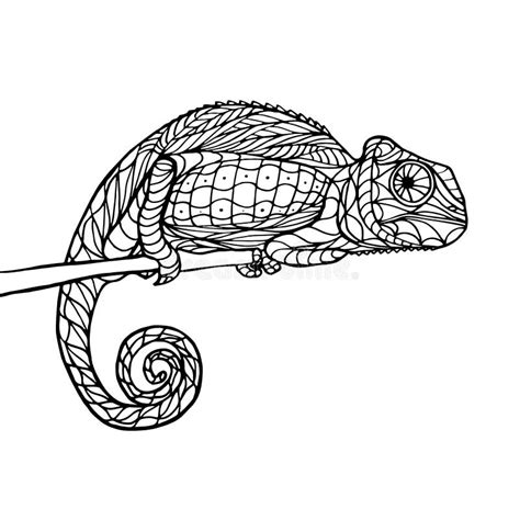 Chameleon In Zentangle Style Adult Antistress Coloring Page Stock