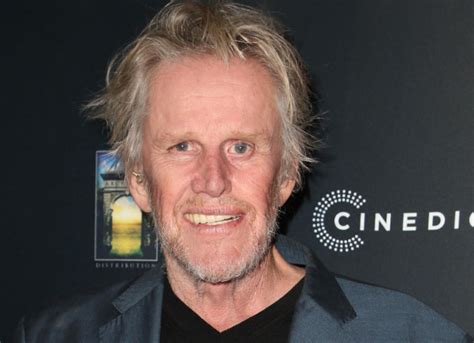Gary Busey Net Worth 2022, Age, Height, Weight, Wife, Kids, Biography, Wiki | The Wealth Record