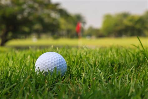 Golf Ball On Green Grass Stock Photo Image Of Beautiful 79135010