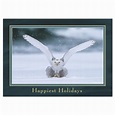 View All Holiday Cards | The National Wildlife Federation