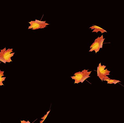 Animated Falling Leaves Background