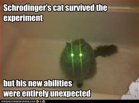 Image 344696 Schrodingers Cat Know Your Meme