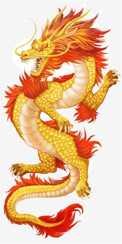 китайский стиль золотой дракон украшения иллюстрации мультфильм