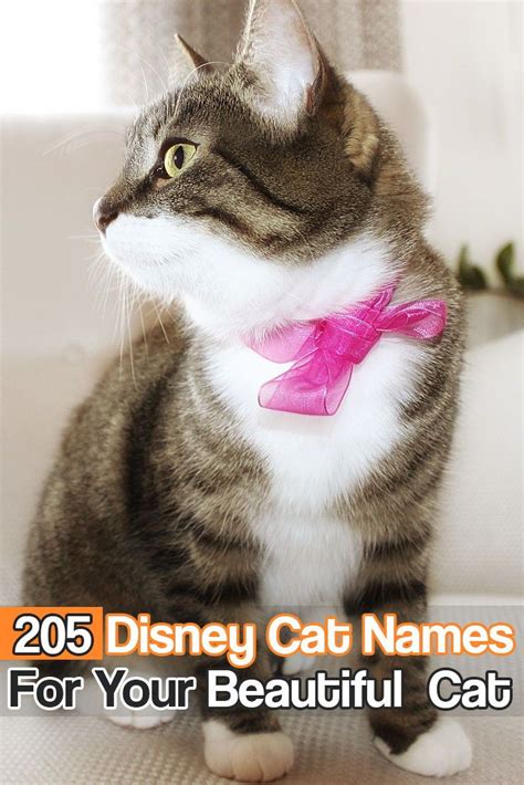 FelineLiving Net Disney Cat Names Disney Pet Names Disney Cats