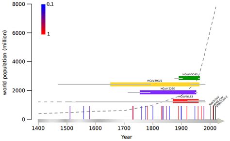 Human Endemic Coronavirus Emergence In The Context Of Past And Recent