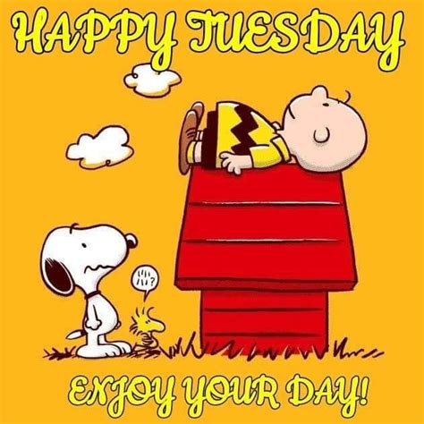 Happy Tuesday Good Morning Snoopy Snoopy Funny Funny Cartoon Quotes
