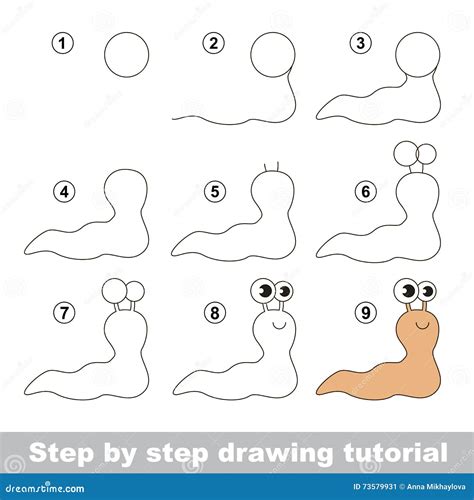 Drawing Tutorial The Slug Stock Illustration Illustration Of Insect