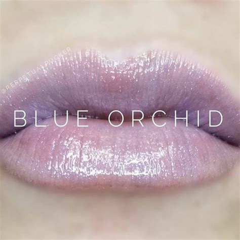 Pin By Rachel Sheirbon On Lips Orchid Gloss Lipsense Lipsense Gloss
