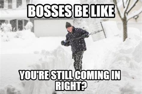 Cold Weather Memes Thatll Make You Laugh Out Loud Far And Wide