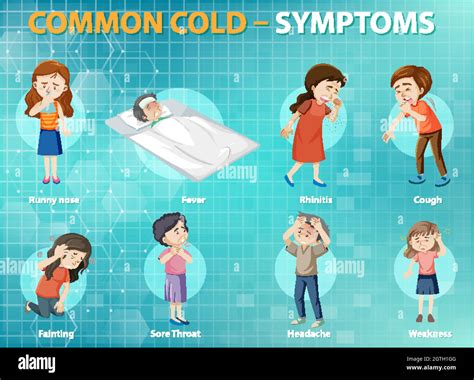 Common Cold Symptoms Cartoon Style Infographic Stock Vector Image And Art