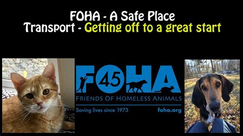 Foha A Safe Place Transport Getting Off To A Great Start Youtube
