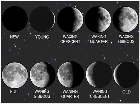 Phases Of The Moon More Earth Science