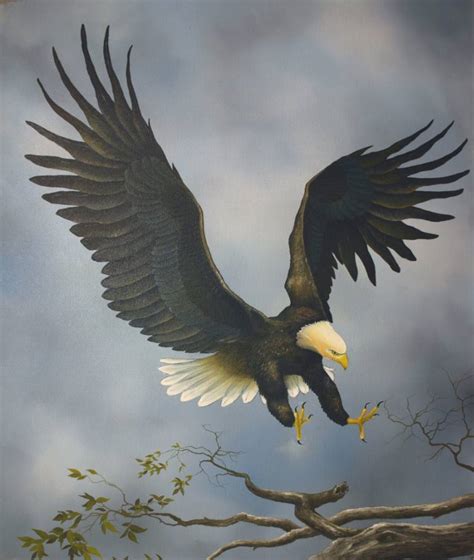 Eagle Painting At Explore Collection Of Eagle Painting