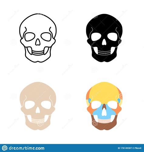 Human Skull Anatomy Stock Vector Illustration Of Evil
