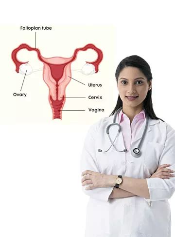 Blocked Fallopian Tube Cause Symptoms Treatment Indira Ivf