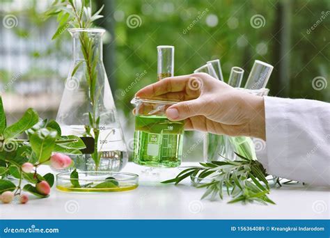 Scientist With Natural Drug Research Natural Organic And Scientific