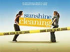 Sunshine Cleaning | Soundtrack songs, Soundtrack music, About time movie