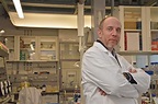 Prof Dr Paul Wilmes secures esteemed ERC grant | FNR – Luxembourg ...