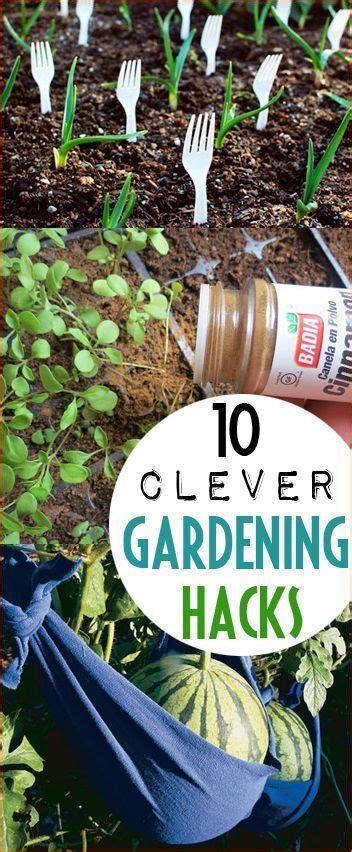 Gardening Hacks 17 Diy Home For You