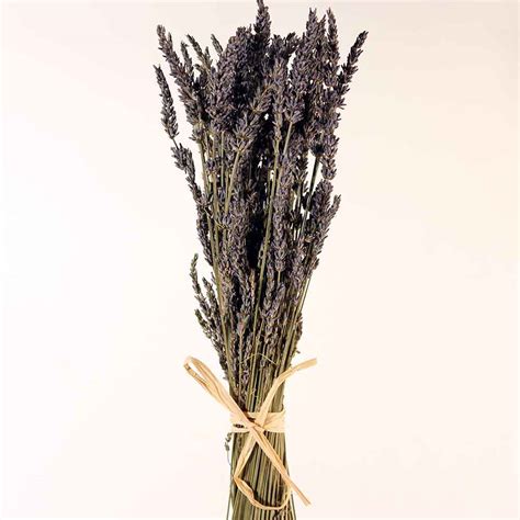 Dried Flowers French Dried Lavender