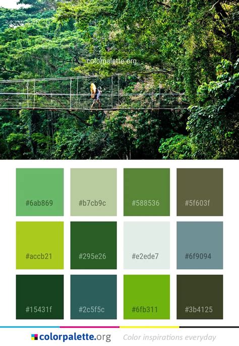 Rainforest Color Palette Ideas
