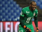 Vincent Enyeama among highest paid African player in French Ligue 1 ...