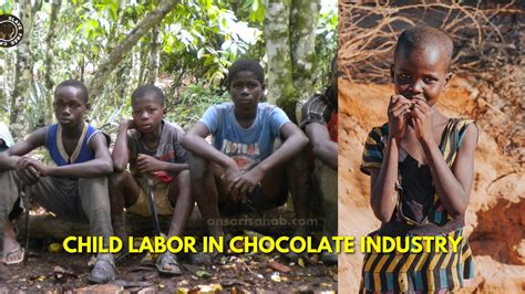 Child Labor In The Cocoa Industry Major Chocolate Corporations Linked