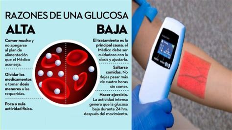Técnicas Para Detectar La Glucosa Baja Y Alta Recetaparadiabetico