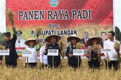 Infopublik Berhasil Panen Raya Pj Bupati Landak Apresiasi Petani