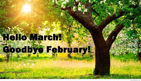 Hello March Goodbye February Hello March Hello March Images Hello