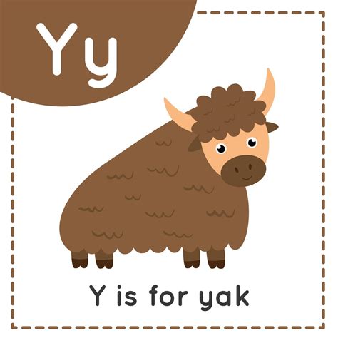Animal Alphabet Flashcard For Children Learning Letter Y Y Is For Yak