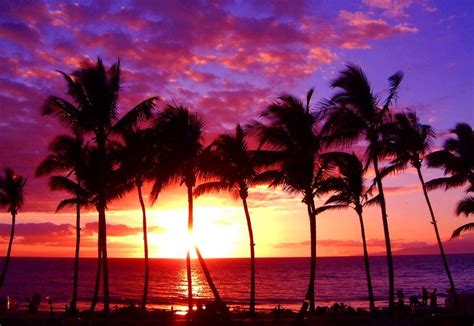 Maui In Hawaii Hawaii Pictures Hawaii Beaches Maui Sunset