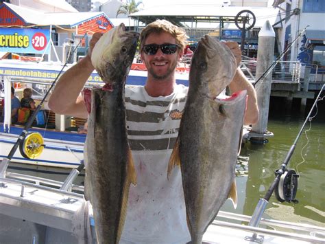 Lots Of Different Sunshine Coast Reefs Were Fished Last Week Top