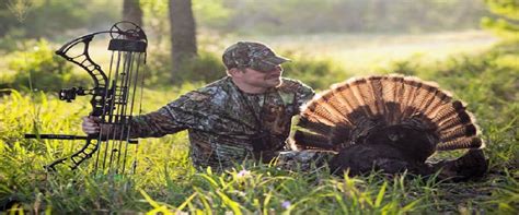How To Hunt Turkey In The Fall 7 Proven Tips For Beginners