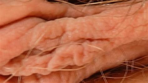 Female Textures Kiss Me Hd 1080p Vagina Close Up Hairy Sex Pussy By Rumesco Eporner Free