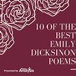 10 of the Best Emily Dickinson Poems Poet Lovers Must Read
