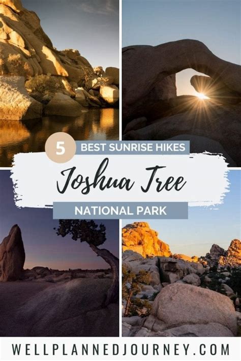 5 Stunning Joshua Tree Sunrise Spots You Need To See