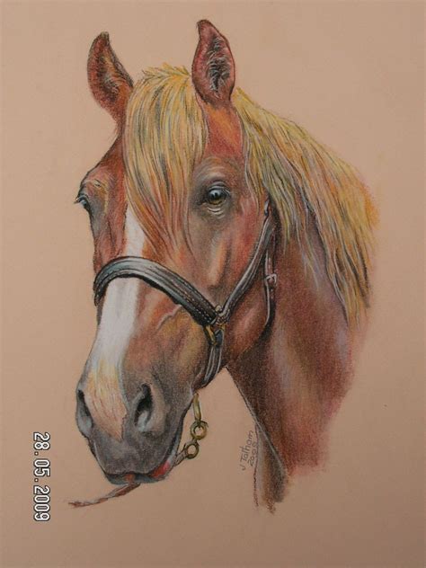 Pastel Portrait Horse Painting Horse Drawings Horses