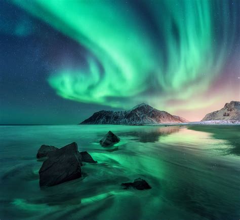 Aurora Northern Lights In Lofoten Islands Norway Sky With Polar
