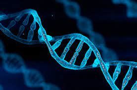 Nature Vs Nurture In Terms Of Epigenetics By Muhammad Shoaib Khan