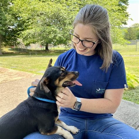 Adopt Volunteer Give Blue Ridge Humane Society Hendersonville Nc