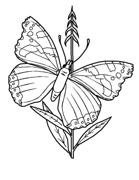 Coloriage Papillons Gratuit 12168 Animaux