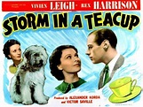 Image gallery for Storm in a Teacup - FilmAffinity